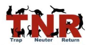 TNR Logo TNR Logo
